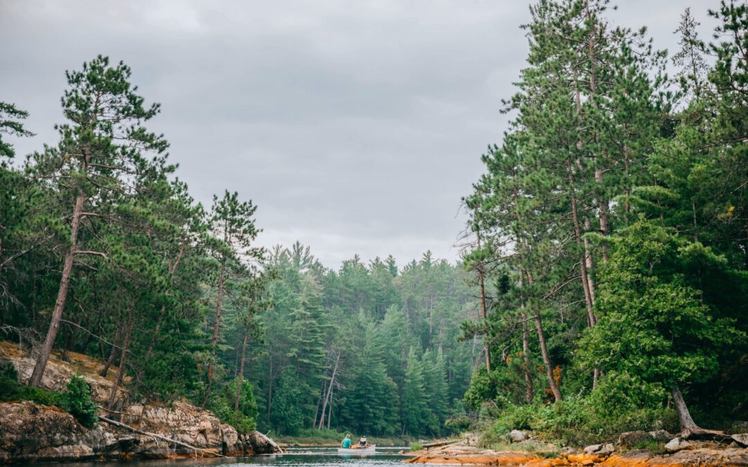 Temagami Canoe Routes: The Expert Guide to Ontario’s Best Canoe Trip