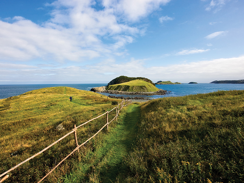 A serene pathway through a field, set against the picturesque Newfoundland landscape, showcasing the rugged beauty and natural charm of the region, featured in Karibu Adventures' Newfoundland hiking tours and outdoor exploration experiences.