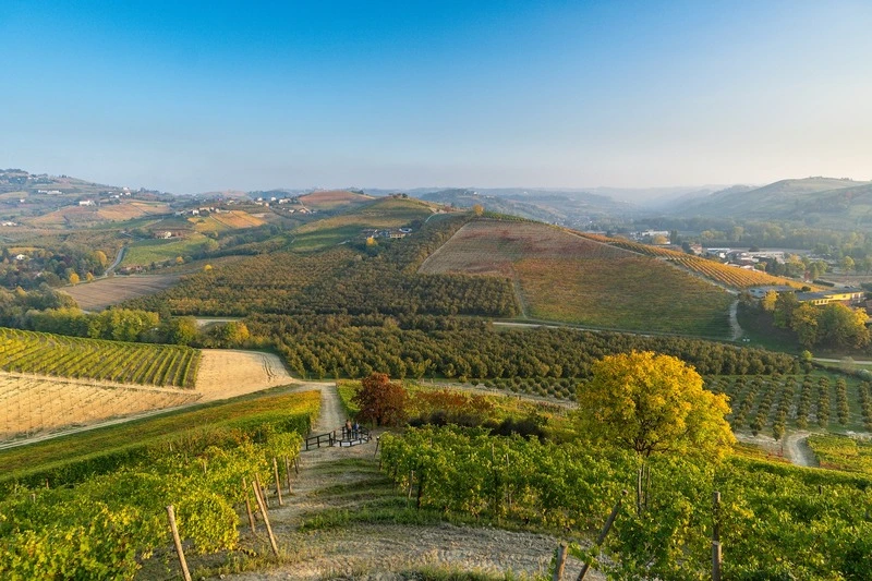 barolo vineyards piedmont italy wine