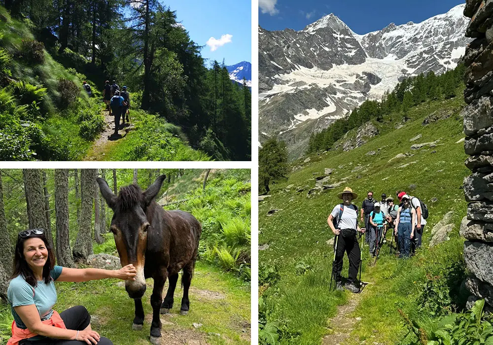 Collage of Italy's Alta Valsesia including hikers with mountain in background, hiker petting donkey.