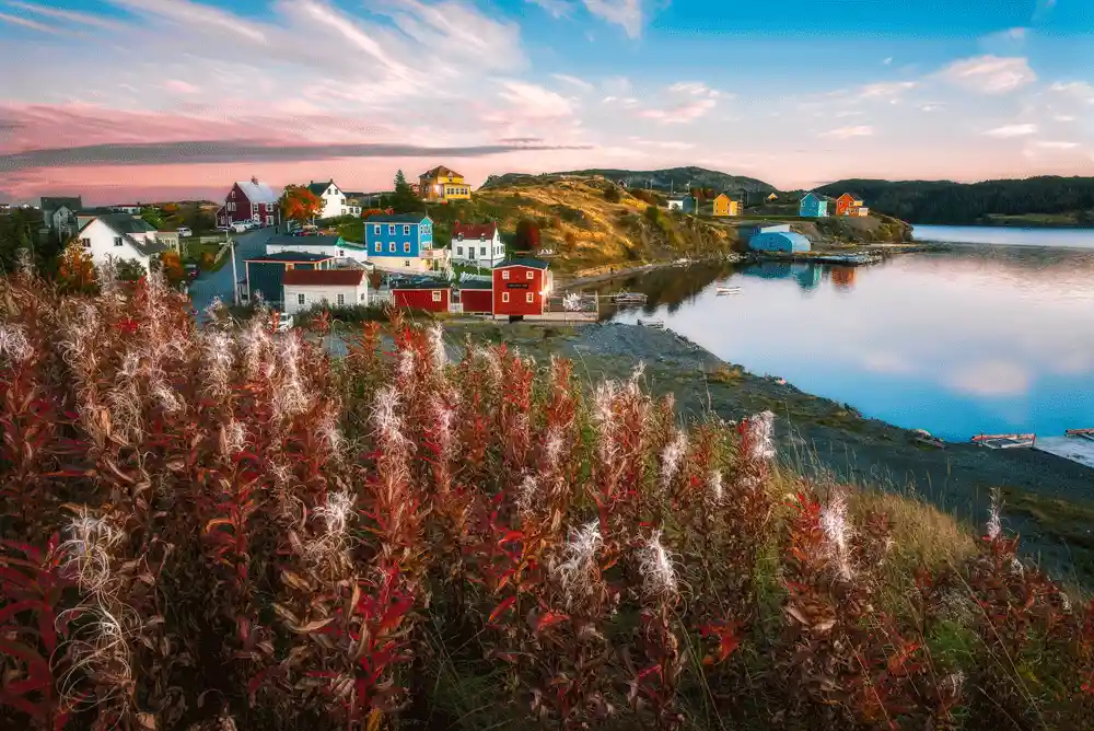 trinity newfoundland colorful fishing village houses on the coast