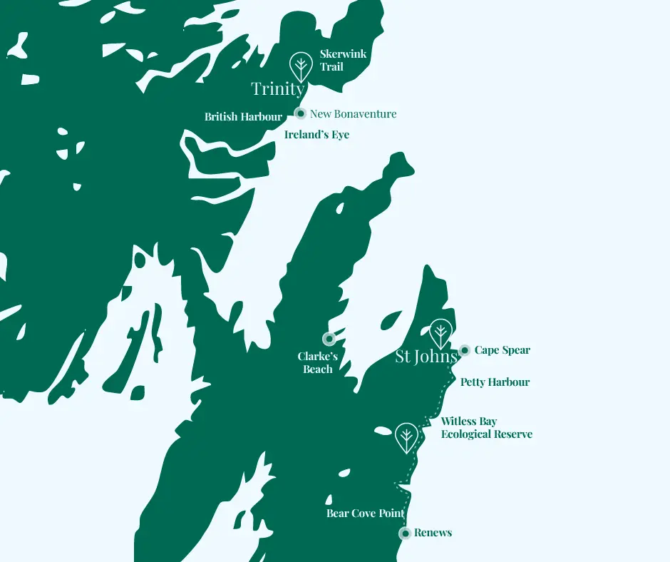 newfoundland map