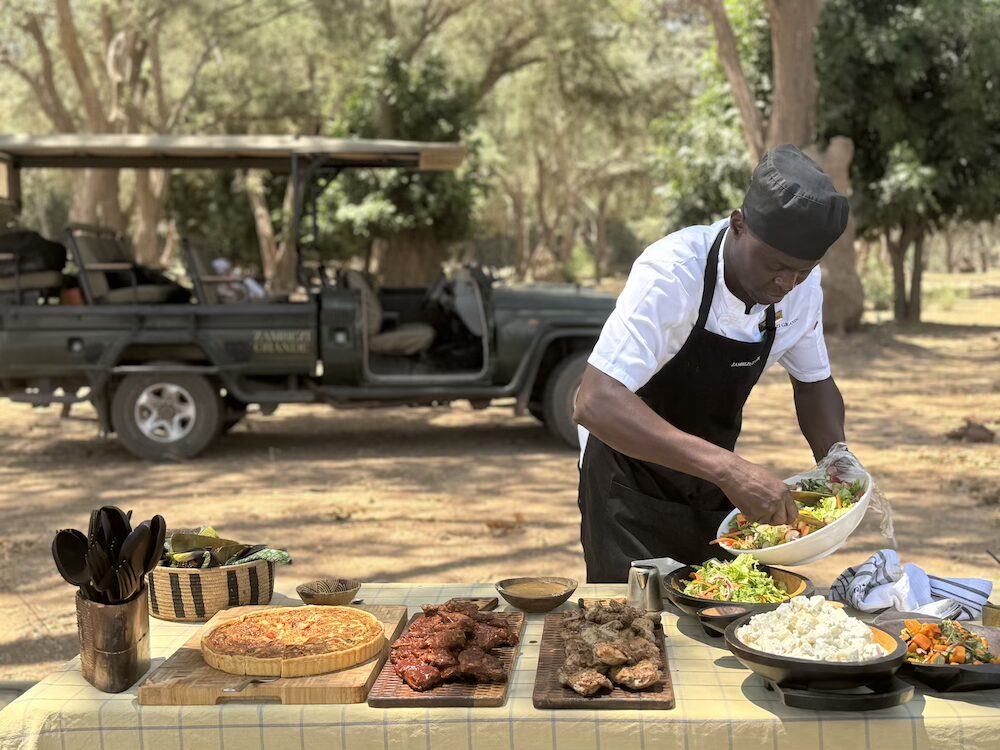 bush picnic zambia safari