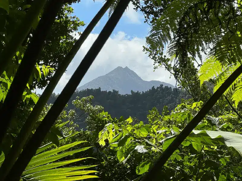 Volcanoes, Dominica