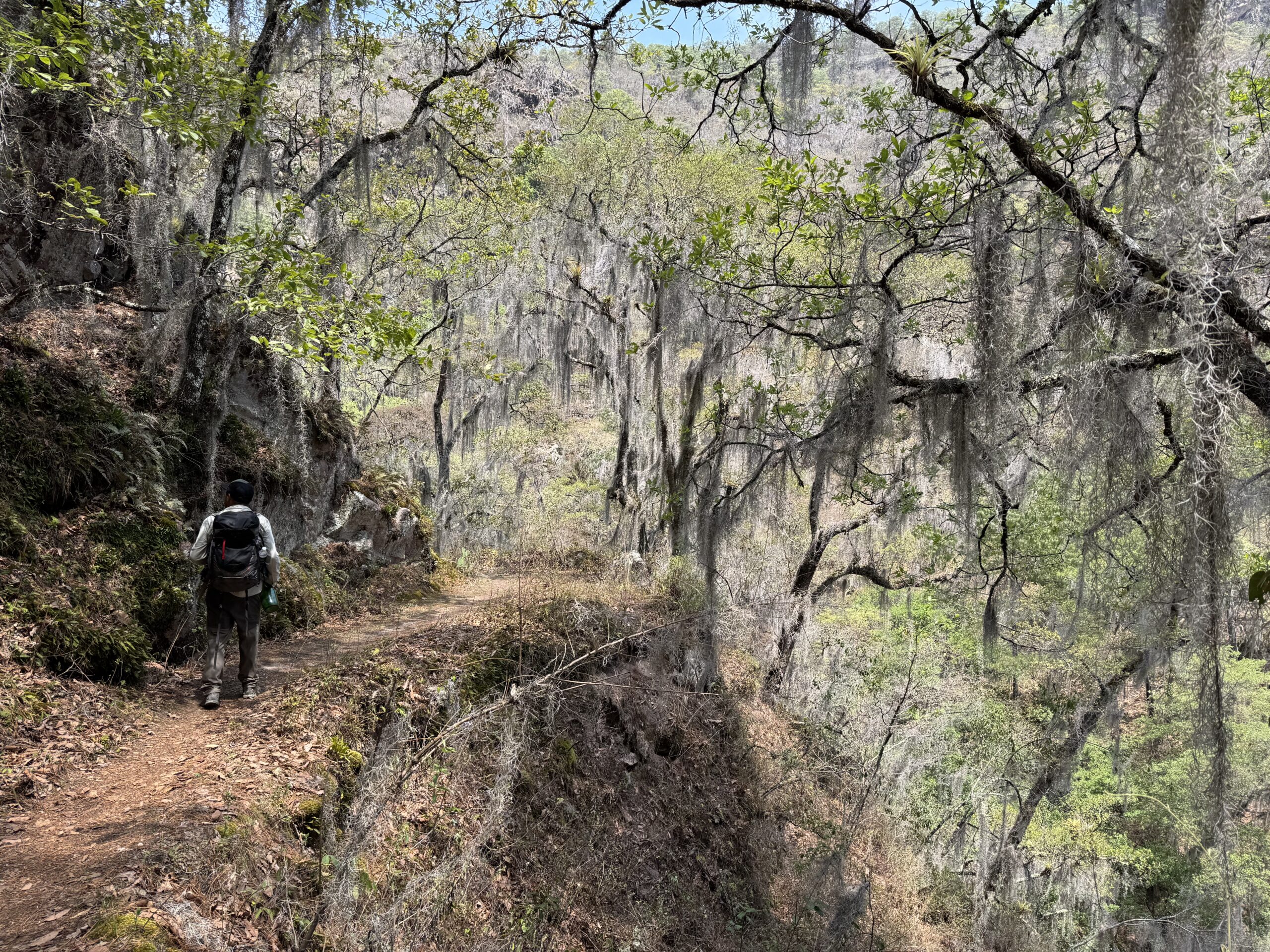 Hiker on Oaxaca’s Sierra Norte