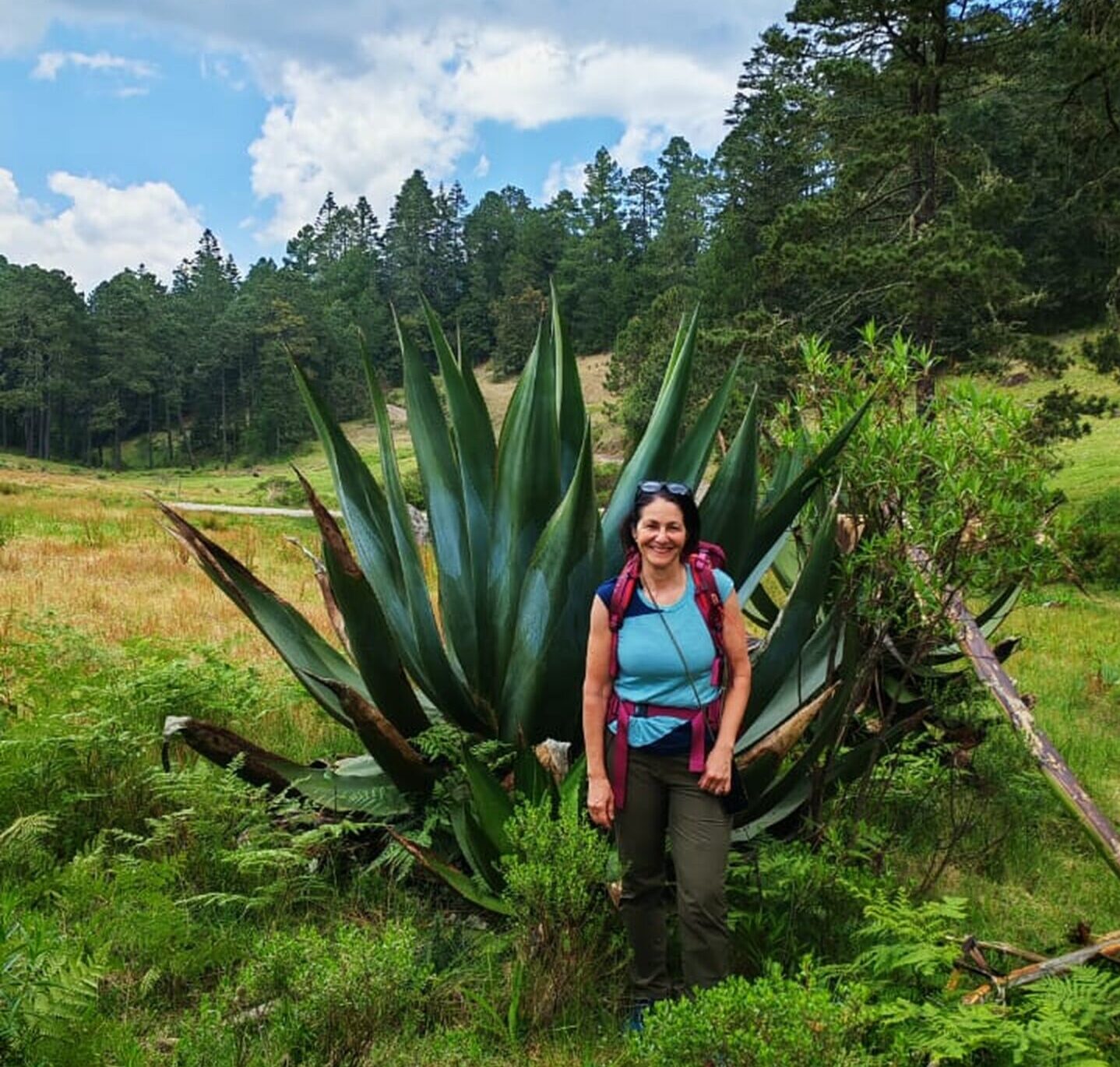 karibu founder, Andrea Mandel-Campbell, beside an agave plant
