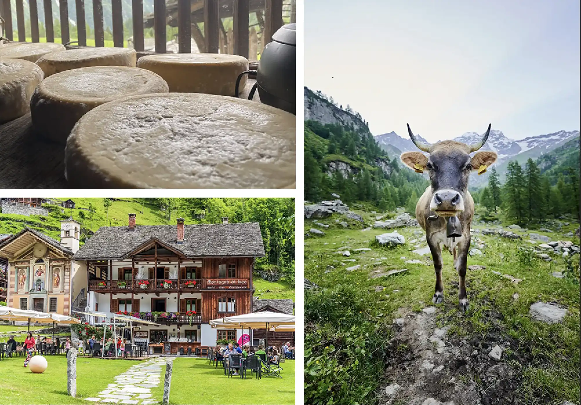 Collage of Italy's Alta Valsesia including people eating gelato